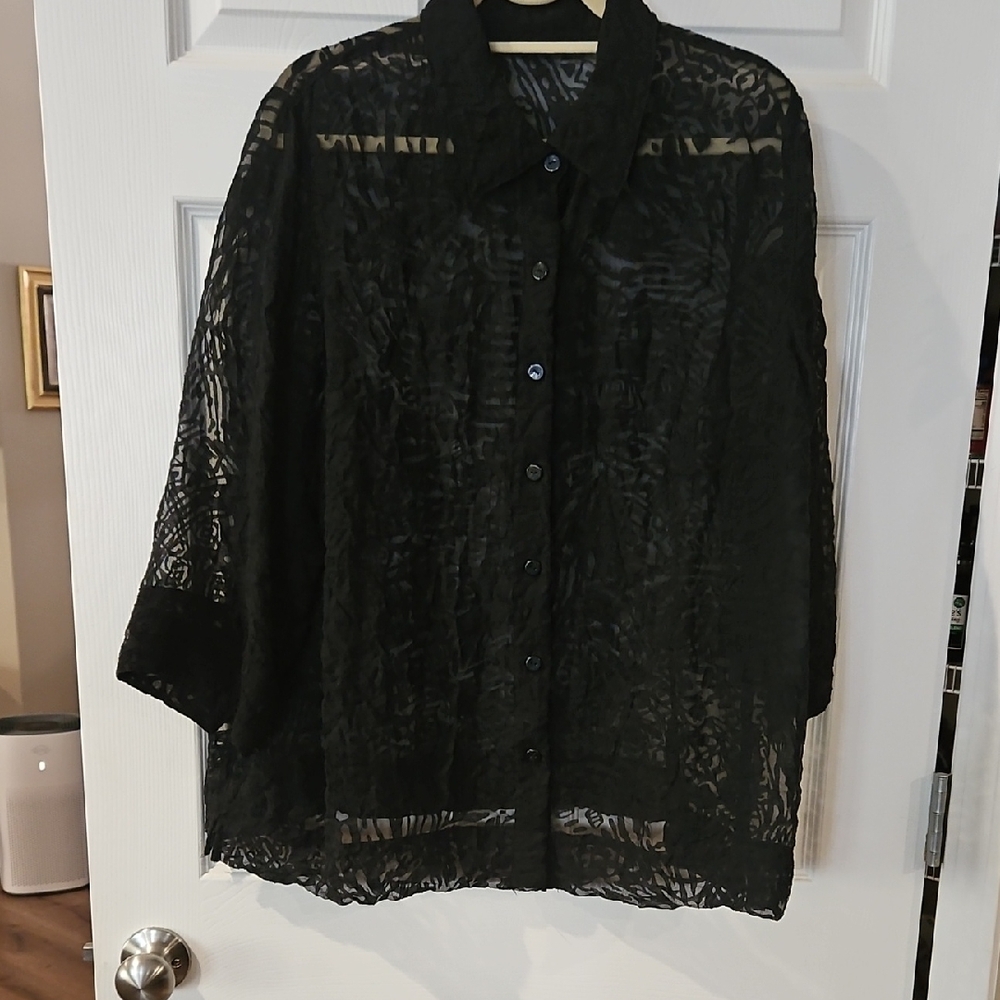 Elegant Black Sheer Women's Top